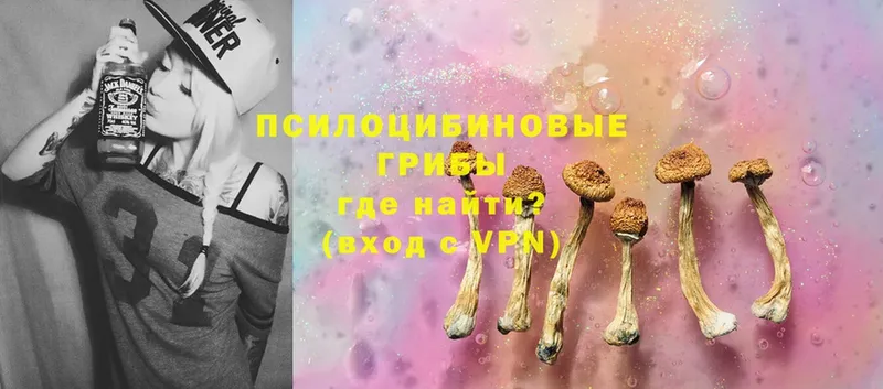 наркошоп  Абаза  Галлюциногенные грибы Psilocybine cubensis 